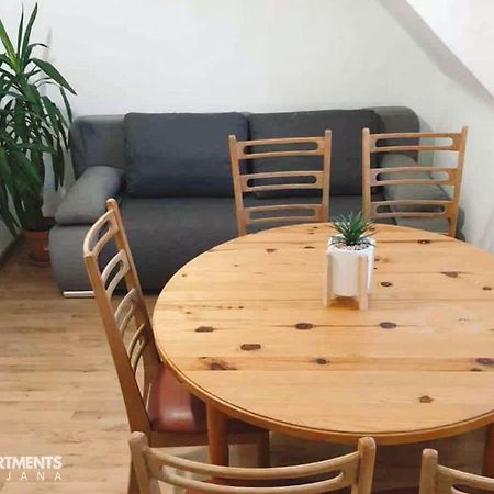 Huge Bbq Garden 2, Spacious Flat, Ac, Free Parking 2 Λιουμπλιάνα Εξωτερικό φωτογραφία