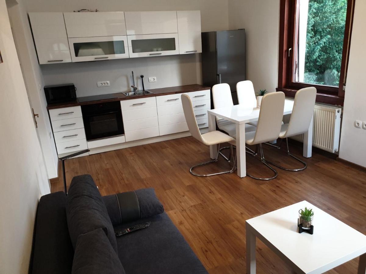 Huge Bbq Garden 2, Spacious Flat, Ac, Free Parking 2 Λιουμπλιάνα Εξωτερικό φωτογραφία