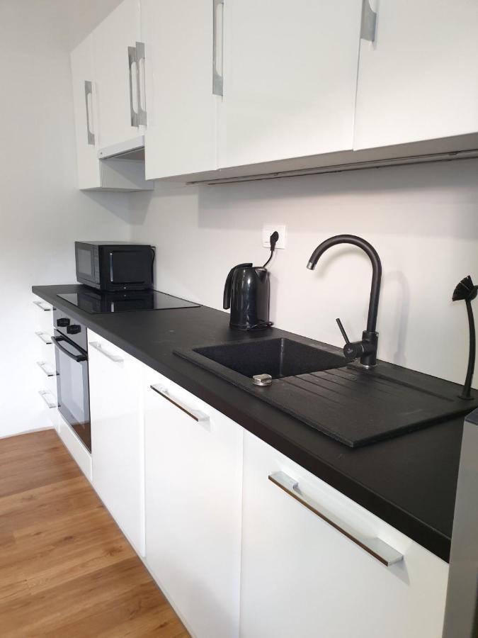 Huge Bbq Garden 2, Spacious Flat, Ac, Free Parking 2 Λιουμπλιάνα Εξωτερικό φωτογραφία