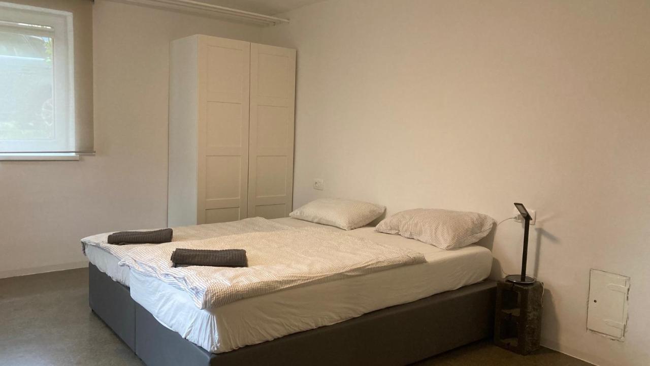 Huge Bbq Garden 2, Spacious Flat, Ac, Free Parking 2 Λιουμπλιάνα Εξωτερικό φωτογραφία