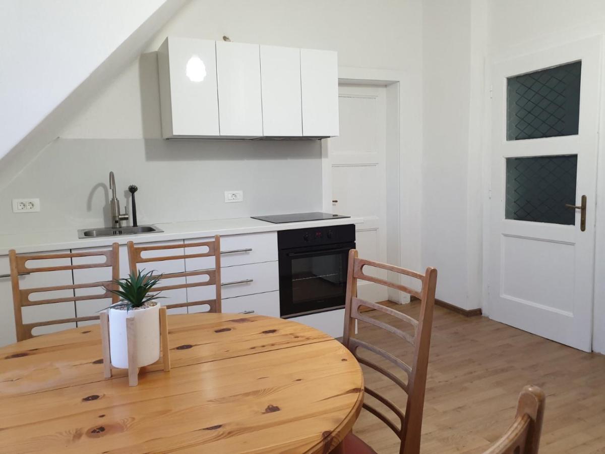 Huge Bbq Garden 2, Spacious Flat, Ac, Free Parking 2 Λιουμπλιάνα Εξωτερικό φωτογραφία