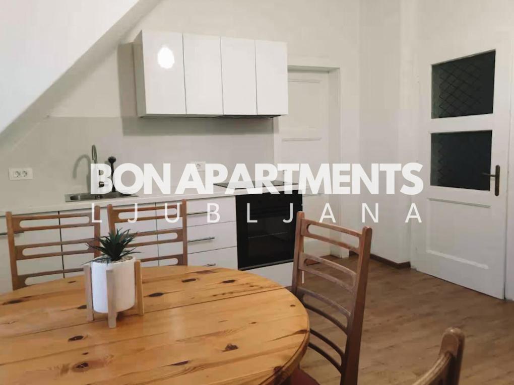 Huge Bbq Garden 2, Spacious Flat, Ac, Free Parking 2 Λιουμπλιάνα Εξωτερικό φωτογραφία