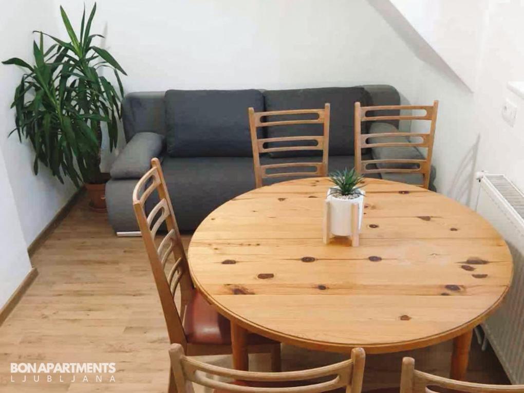 Huge Bbq Garden 2, Spacious Flat, Ac, Free Parking 2 Λιουμπλιάνα Εξωτερικό φωτογραφία